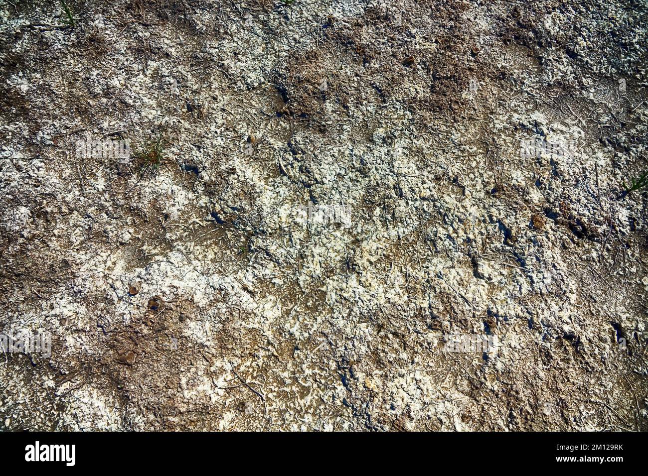 White alkali soil hires stock photography and images Alamy