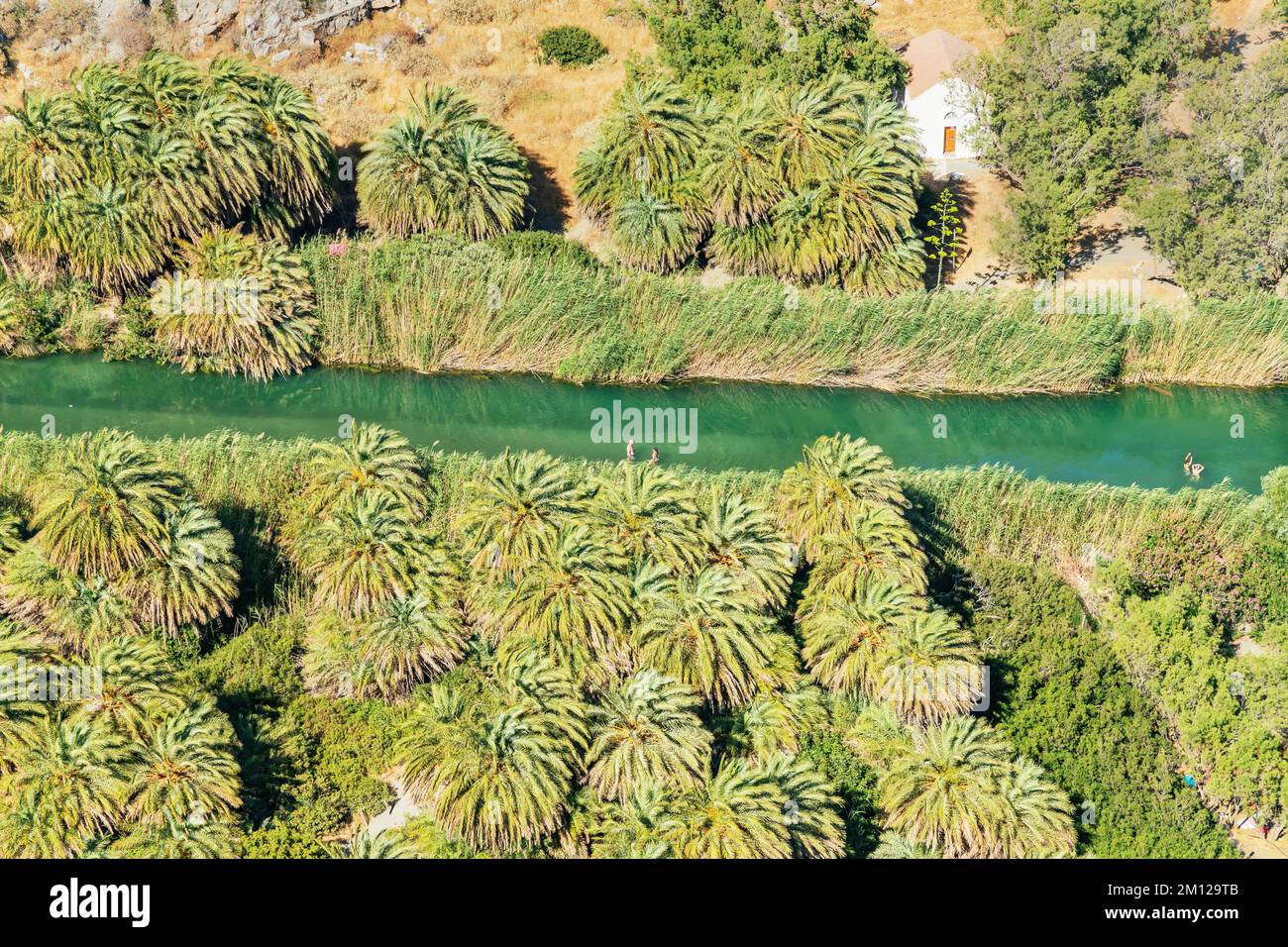 View of Megalopotamos river and Preveli palm forest, Rethymno, Crete, Greek Islands, Greece Stock Photo