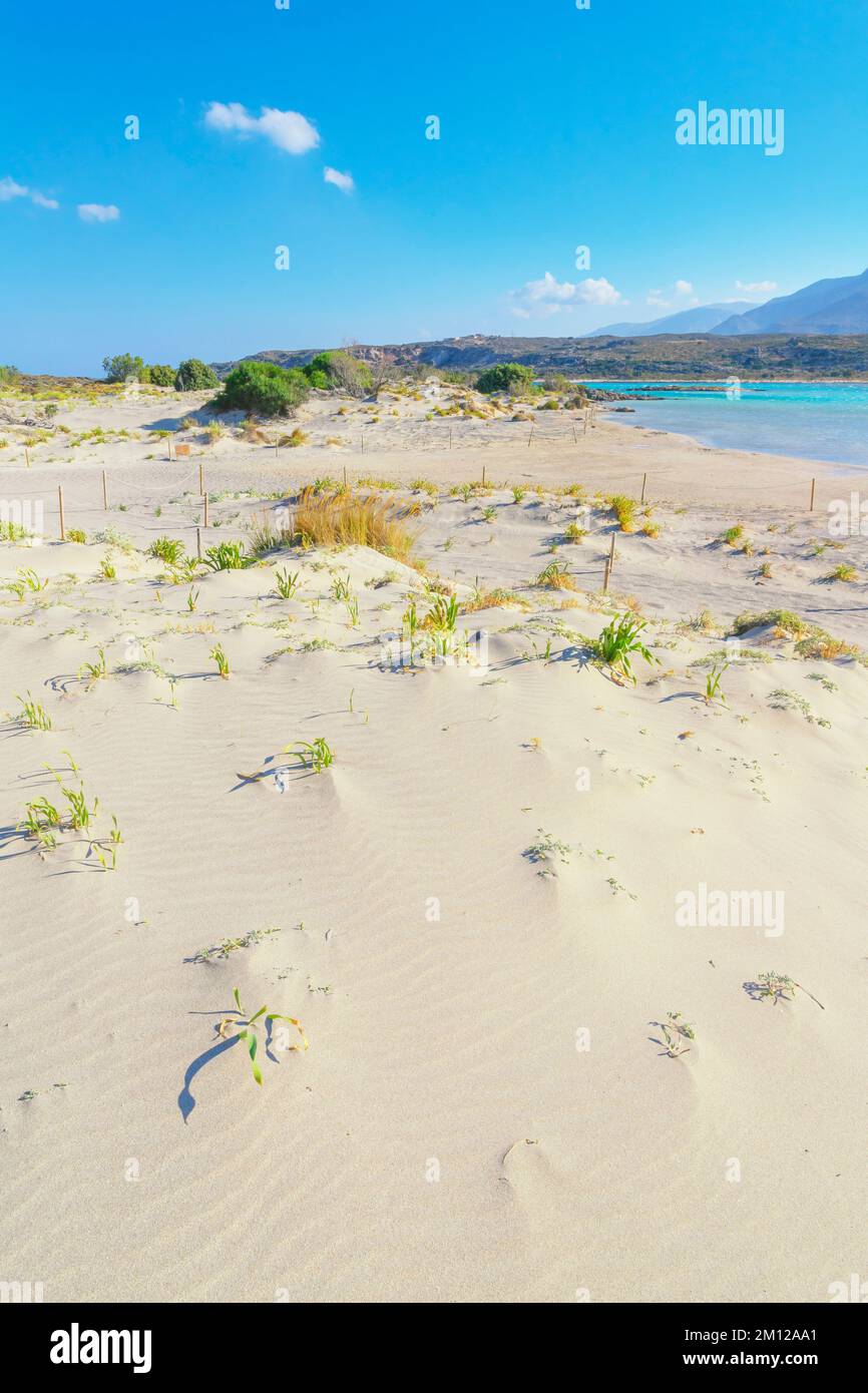 Elafonisi beach, Chania, Crete, Greek Islands, Greece Stock Photo