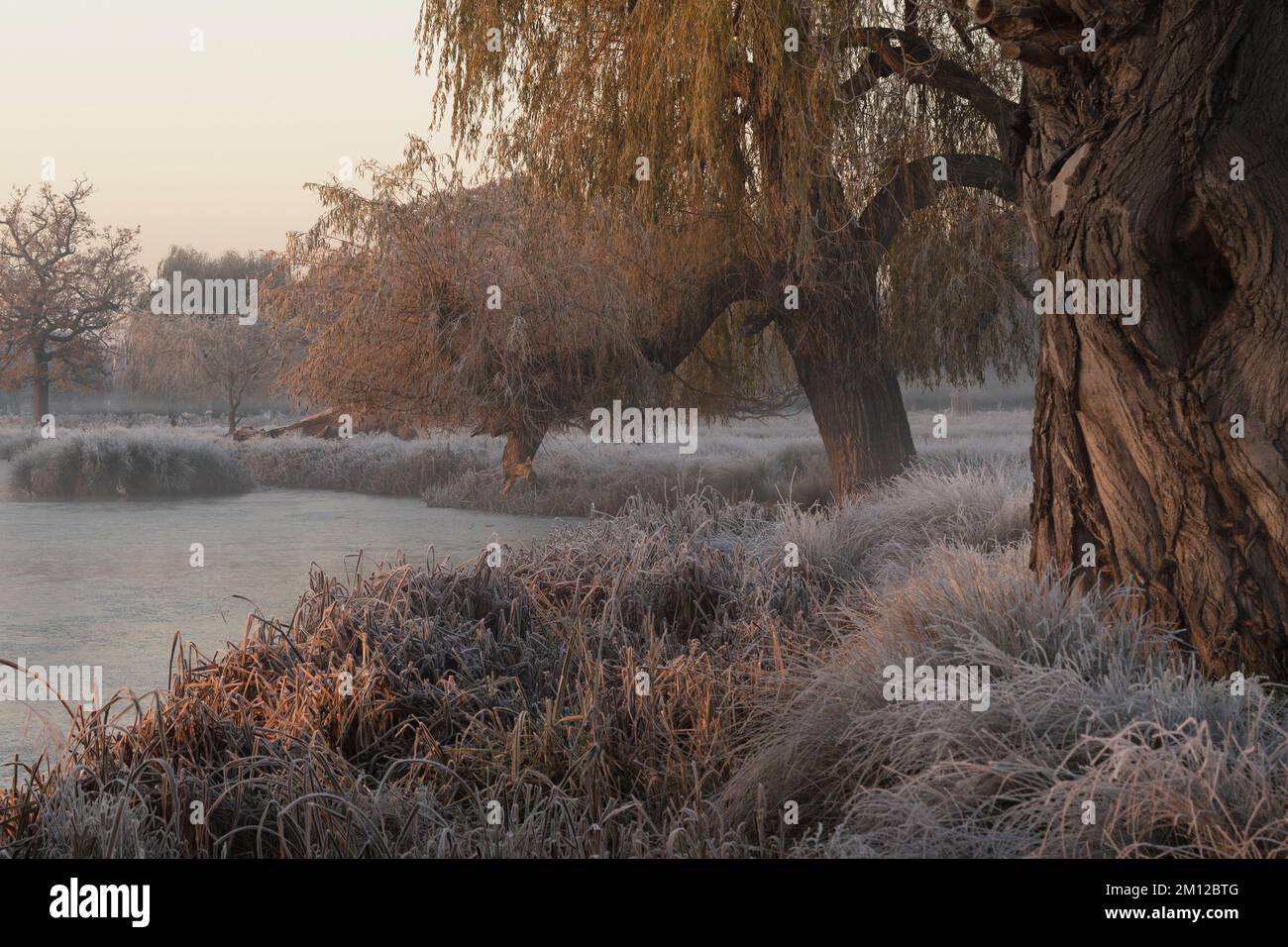 Magical misty morning in mid December a temperature below zero Stock Photo