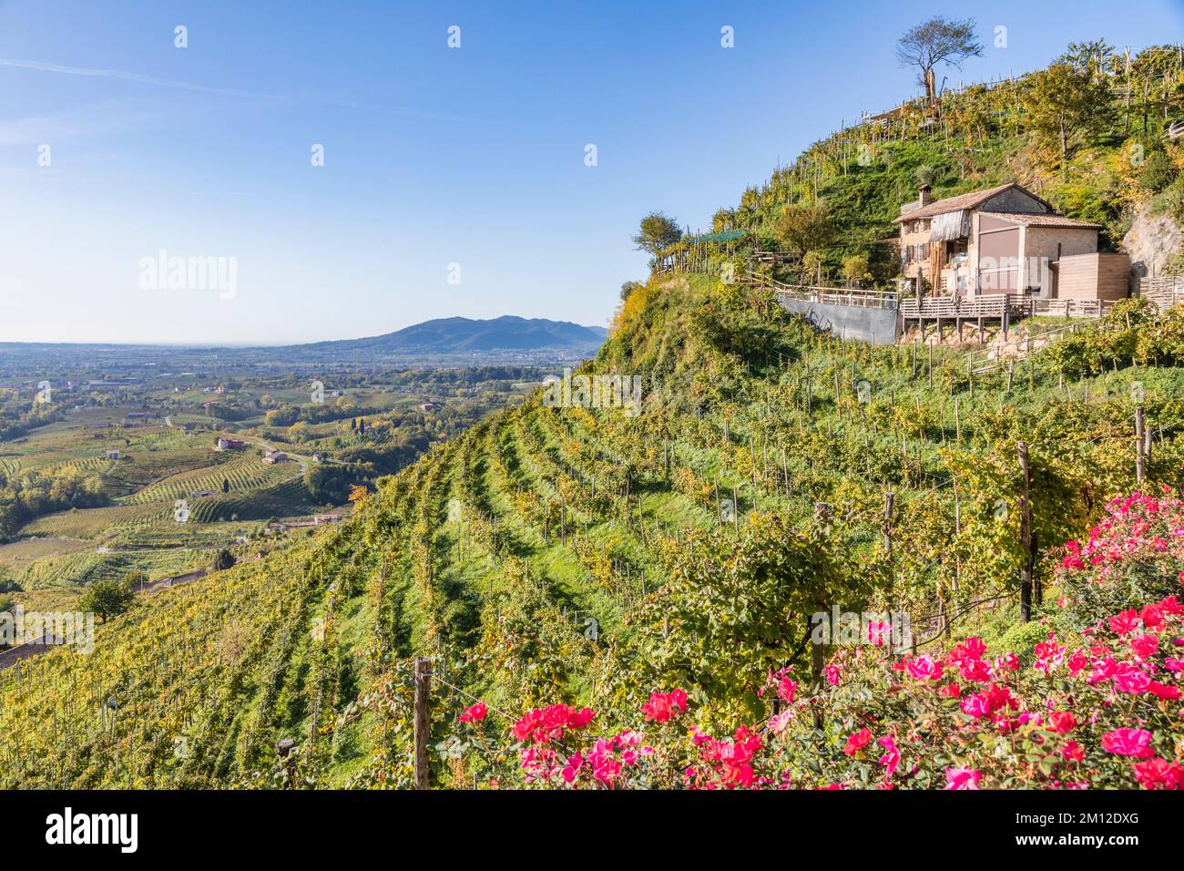 Italy, Veneto, province of Treviso, Valdobbiadene. The famous 'Osteria Senz'Oste', beautiful view over the vineyards Stock Photo
