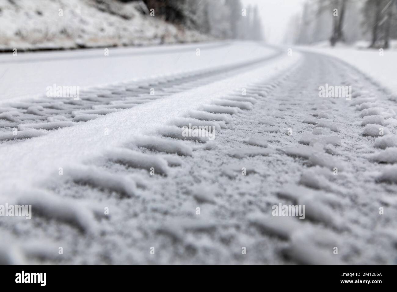 Italy, Veneto, Belluno, Dolomites. Tread marks of a heavy vehicle in the fresh snow along a mountain road Stock Photo