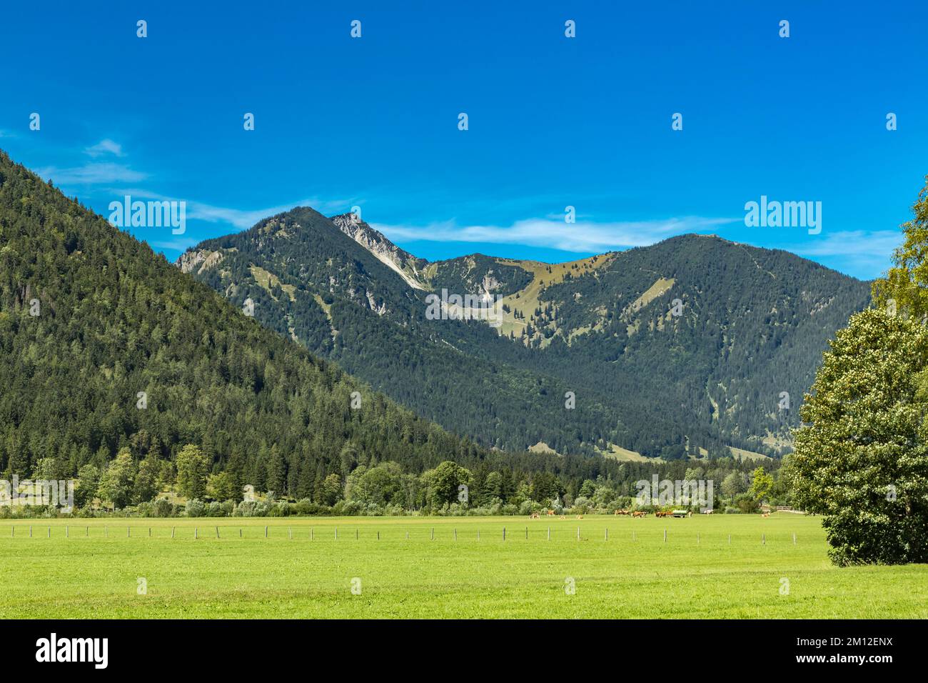 View from Bayrischzell to the mountains, Aiplspitze, 1759 m, Rotwand, Bayrischzell, Upper Bavaria, Bavaria, Germany, Europe Stock Photo