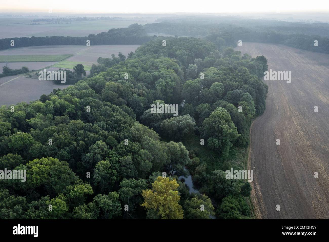 Europe, Poland, Lower Silesia, Bystrzyca river near Mietkow Stock Photo
