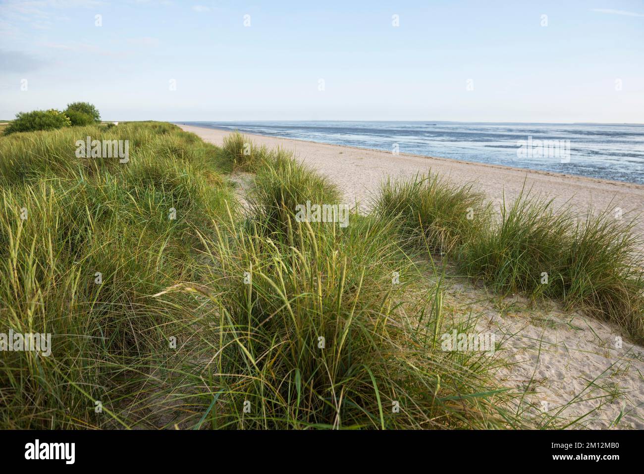 Beach and Wadden Sea, Schillig, Wangerland, East Frisia, Lower Saxony, Germany, Europe Stock Photo