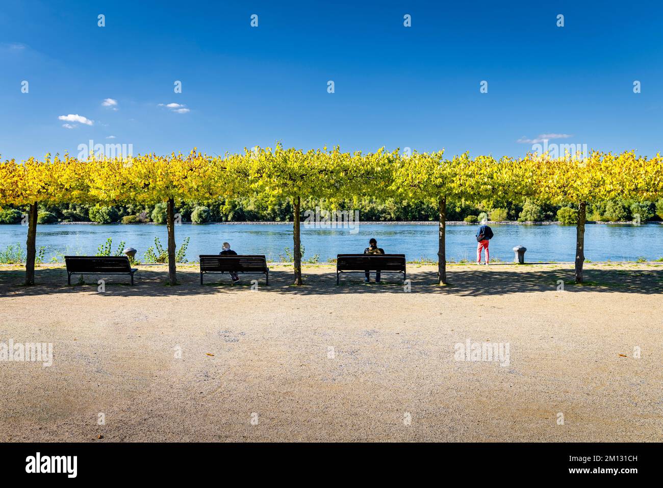 Resting benches on the Rhine near Heidenfahrt/Rheinhessen,  Local recreation through water sports, bathing, boating and relaxing, Stock Photo