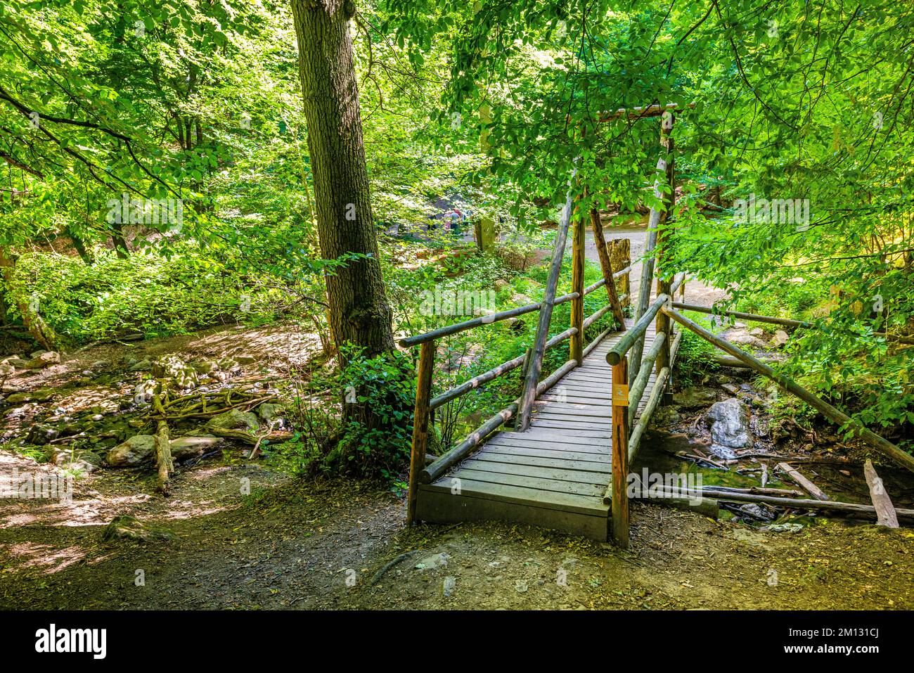 Footbridge in the valley in the bingen forest hires stock