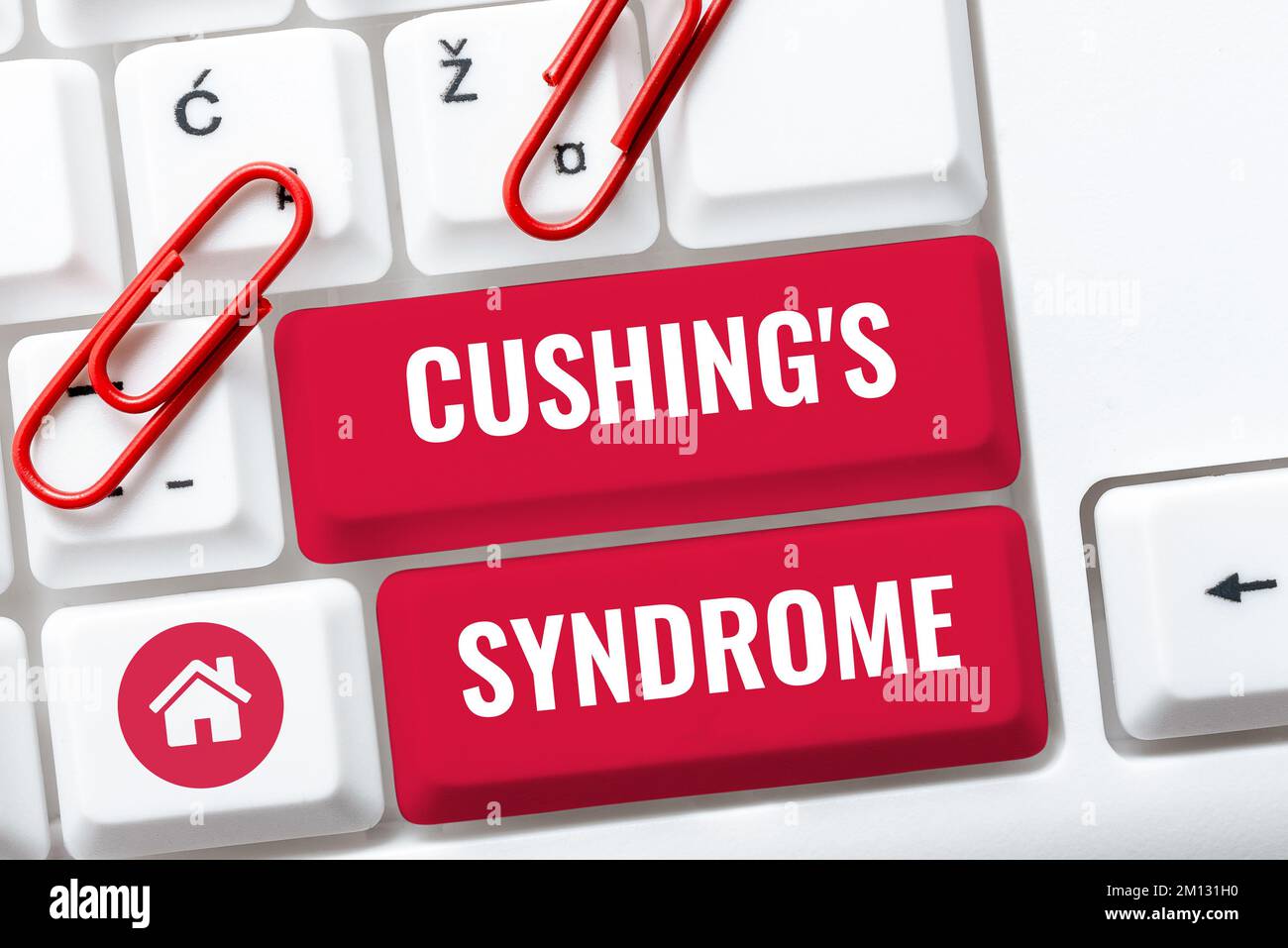 Sign displaying Cushing's Syndrome. Conceptual photo a disorder caused by corticosteroid hormone overproduction Stock Photo