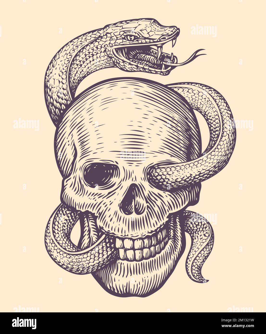 Snake wraps around human skull. Hand drawn sketch in vintage engraving style. Tattoo vector illustration Stock Vector