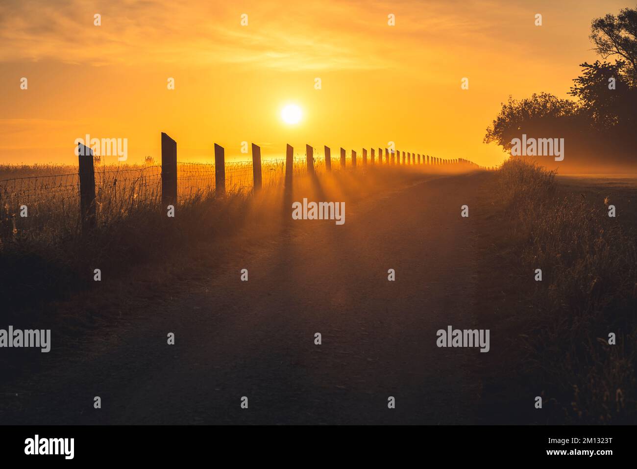 Sunrise with ground fog on a field in Kassel county, pasture fence with light rays shining through, meadow with dandelions and single trees Stock Photo