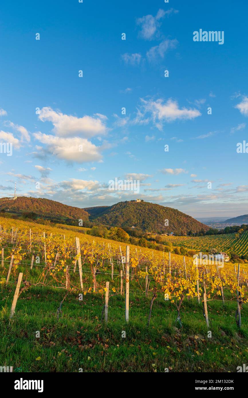 Vienna, vineyards at hill Nußberg, mountain Kahlenberg (with antenna