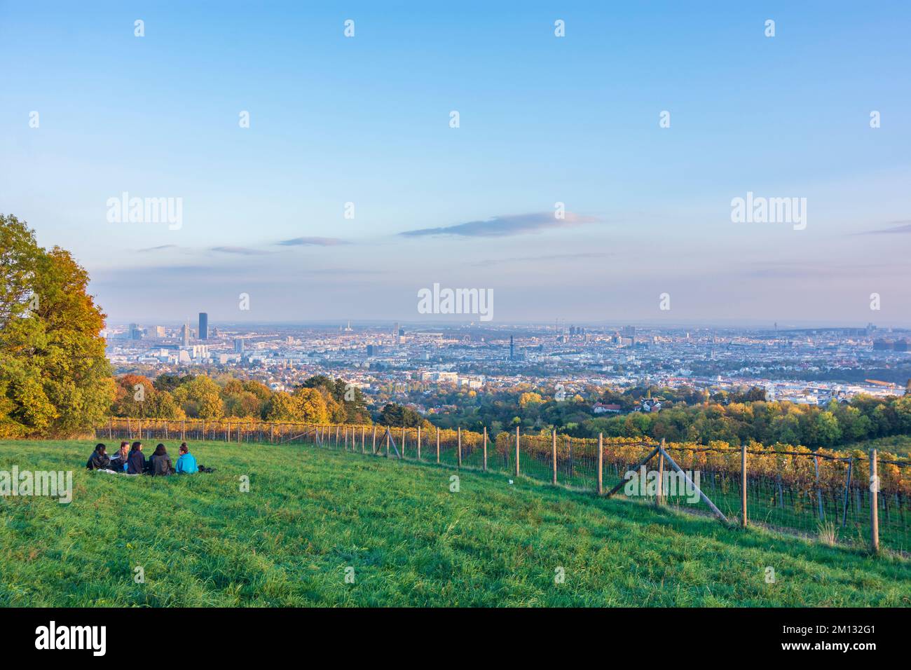 Vienna, meadow Bellevuewiese, vineyard, autumn colors, view to city