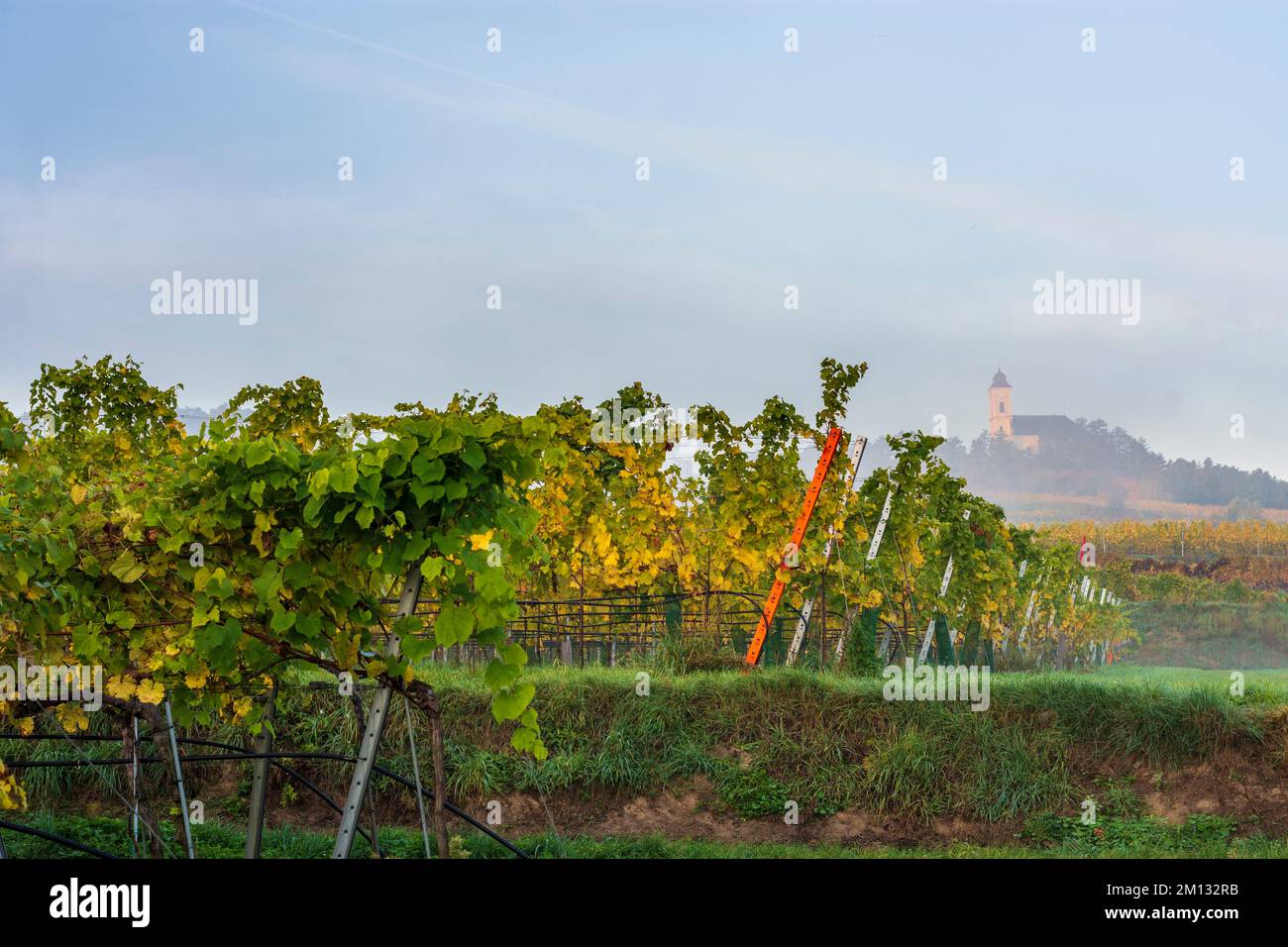Wine growing region of traisental wine country in mostviertel hires