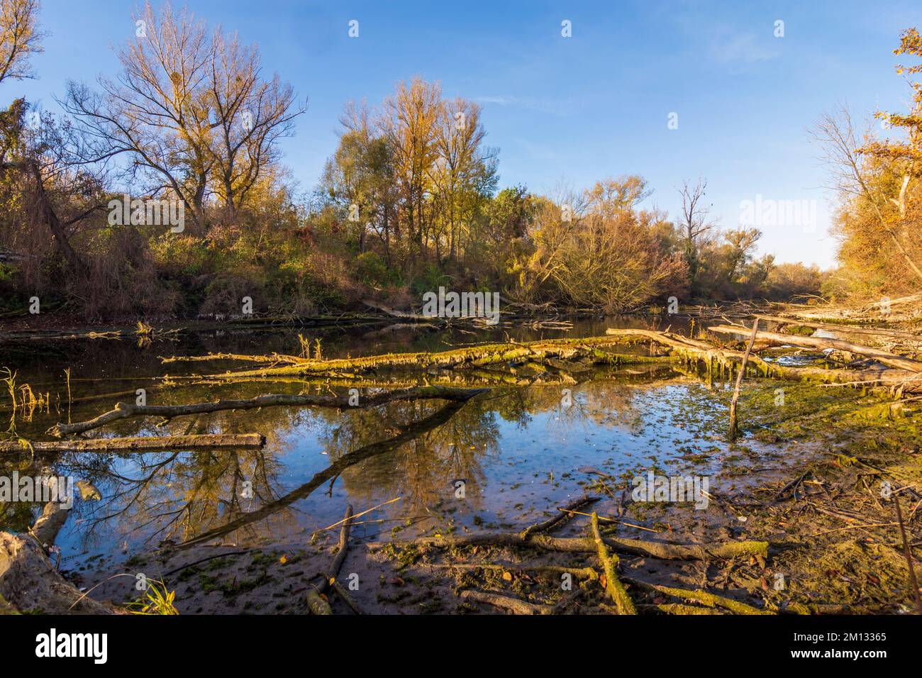 Vienna, oxbow lake of river Donau (Danube), island Donauinsel, nature ...