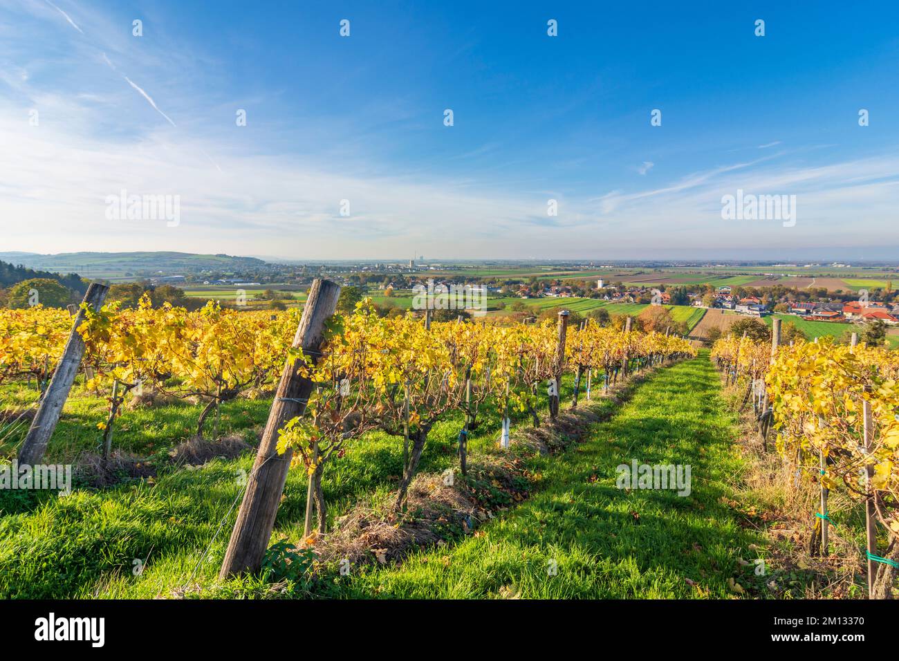 JudenauBaumgarten, vineyard, view to Baumgarten in Wienerwald, Vienna