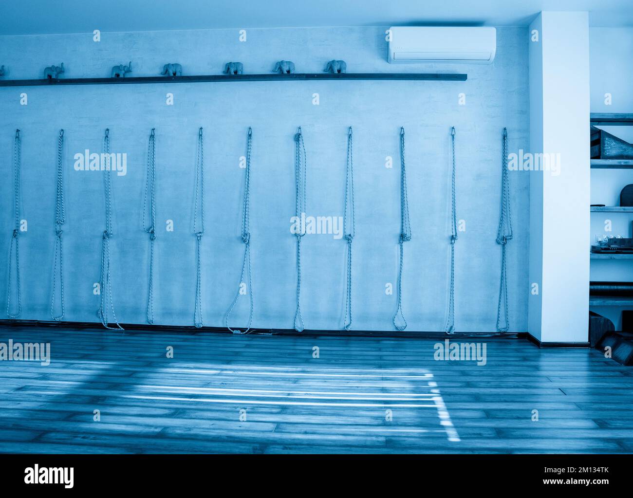 Calisthenics ropes tied up to silver rings on wall in yoga studio. Big ...