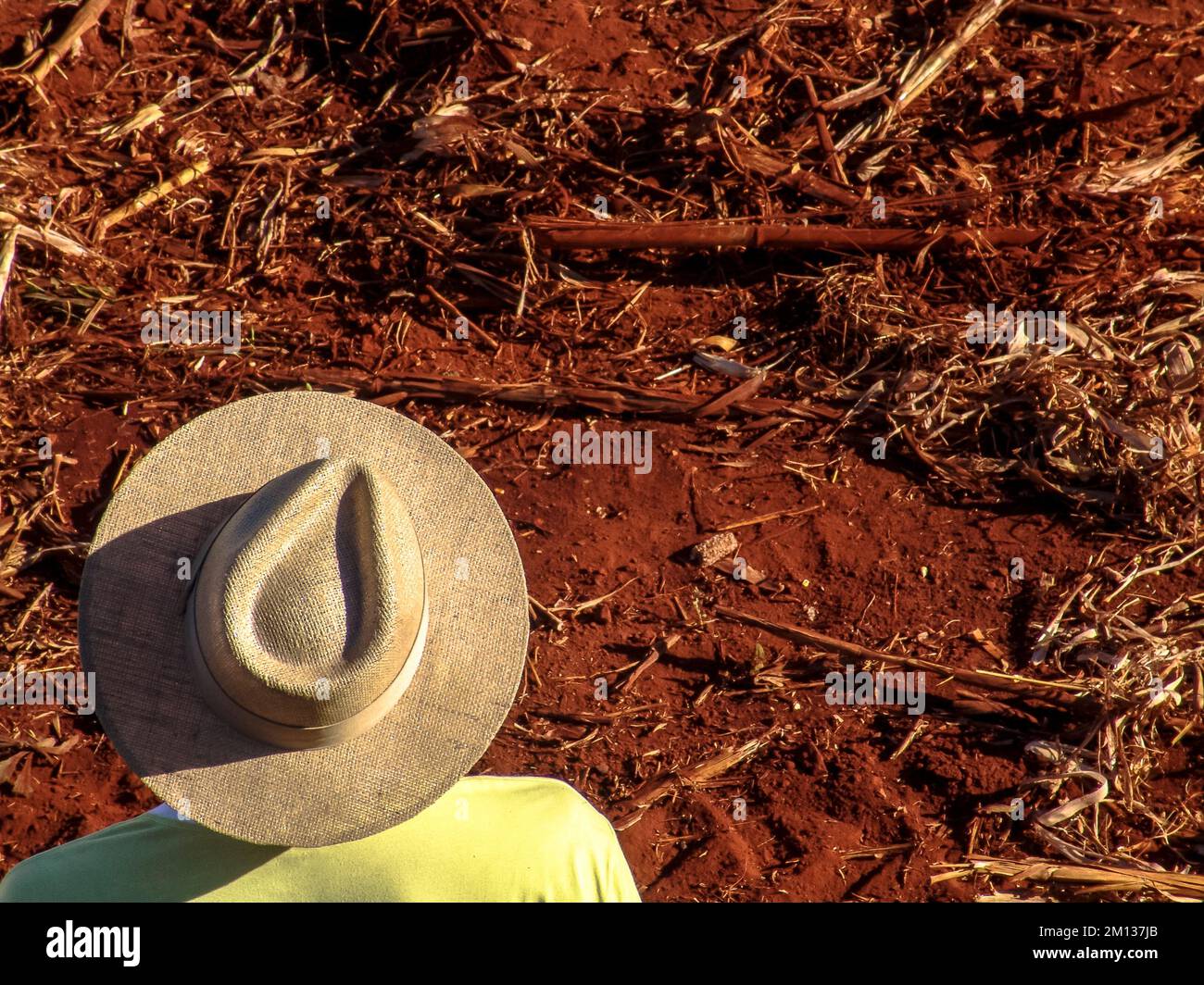 Farmer with hat observes a field of land where a sugar cane crop will be planted on a farm in Ribeirao Preto, Sao Paulo State Stock Photo
