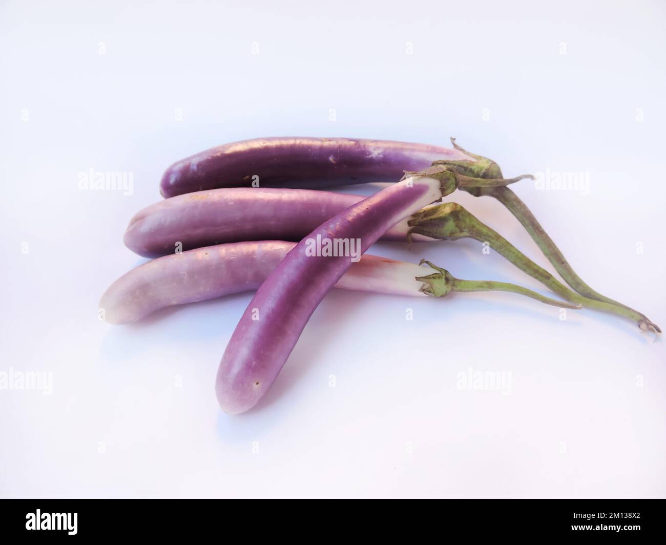Eggplant, aubergine or brinjal is a plant species in the nightshade