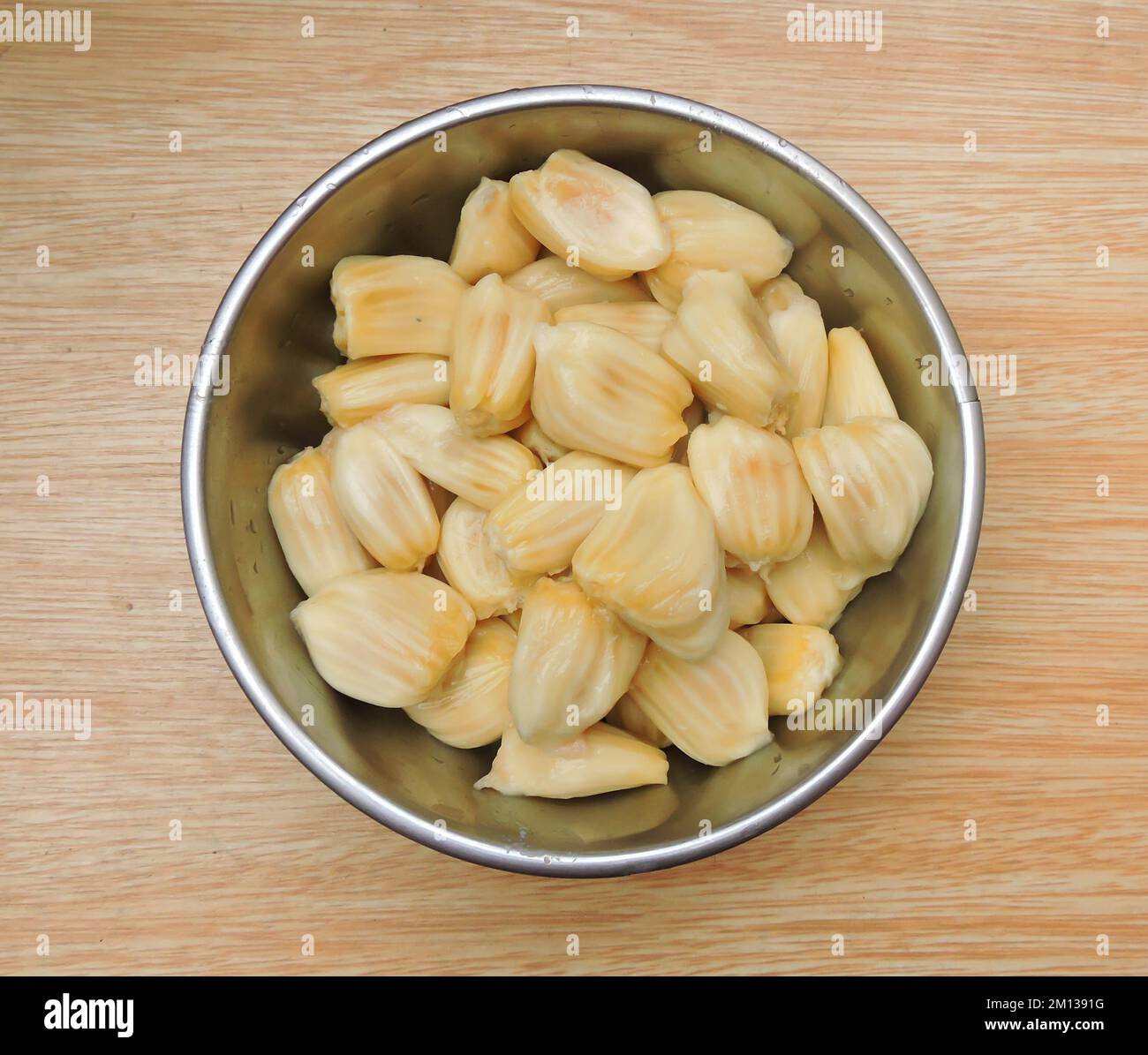 The jackfruit is a species of tree in the fig, mulberry, and breadfruit