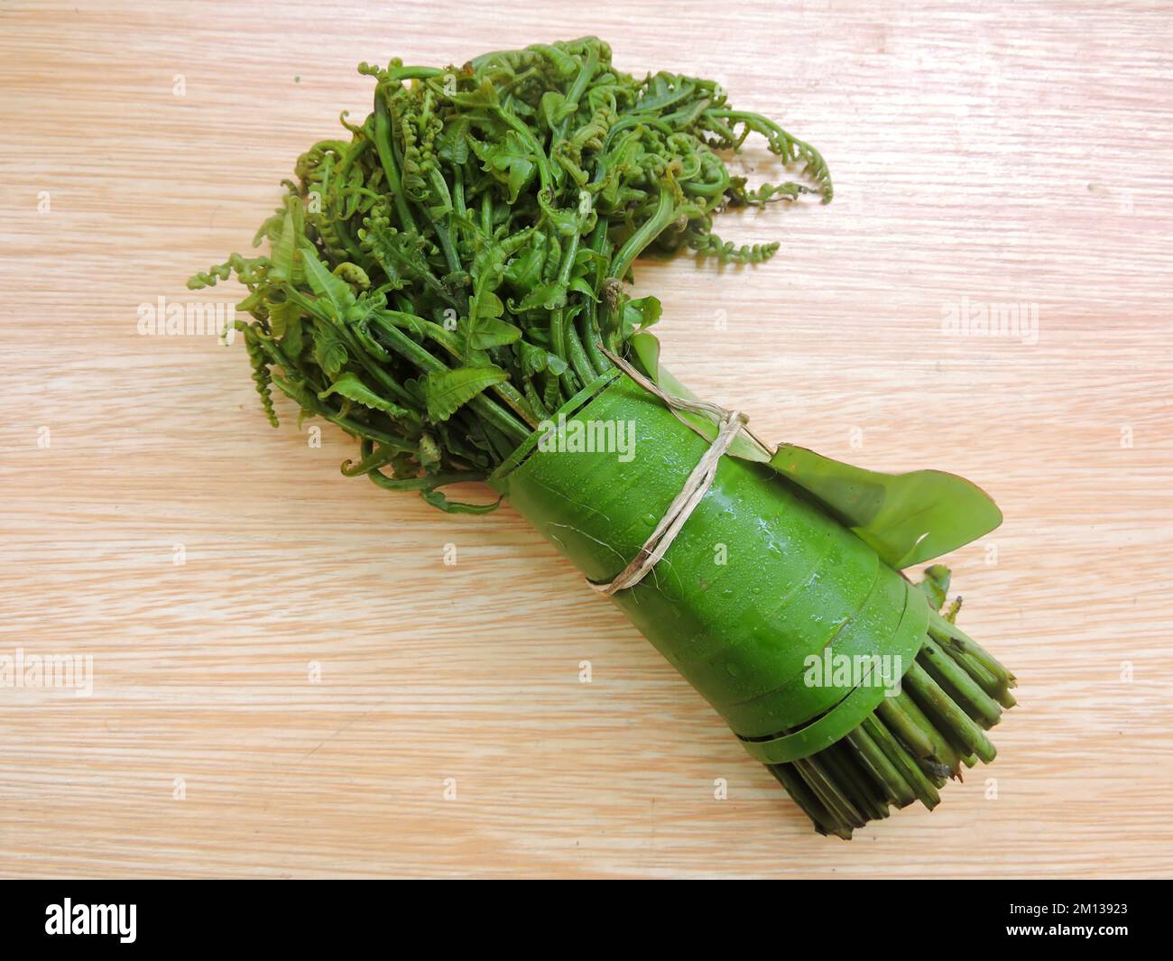 Phak khut hi-res stock photography and images - Alamy