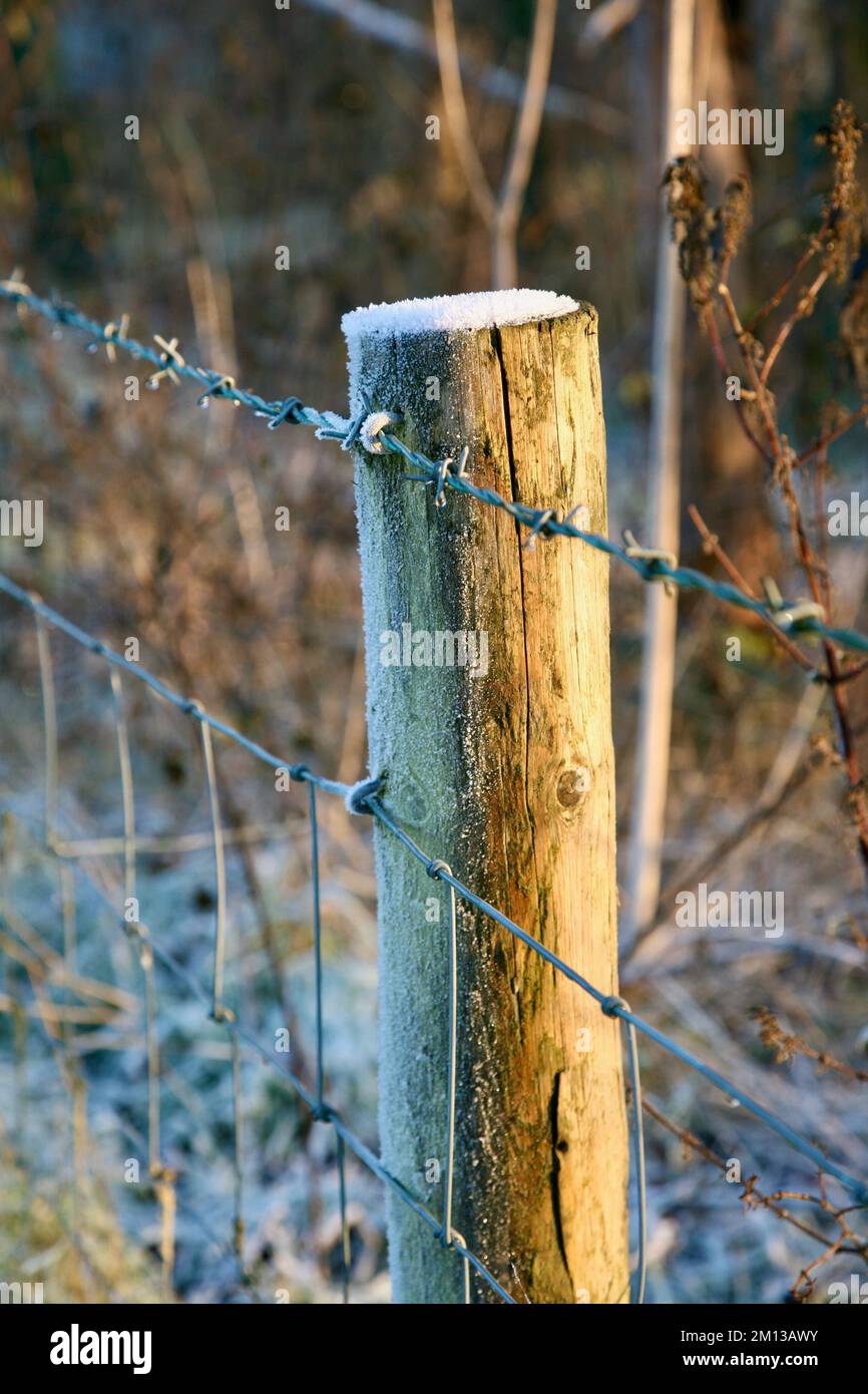 A fence post covered in frost Stock Photo Alamy