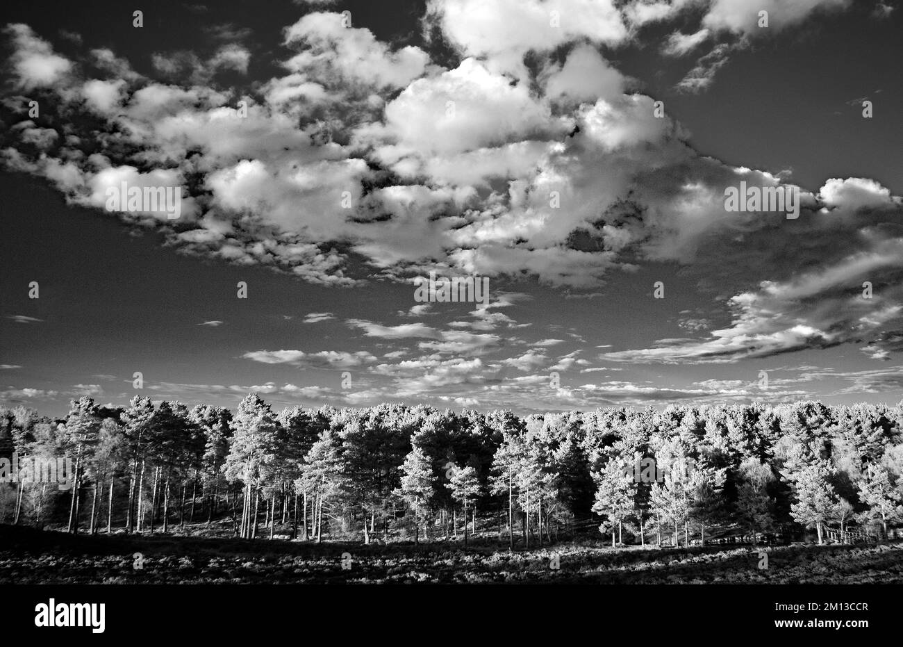Black and white photograph of white clouds over Brindley Valley in