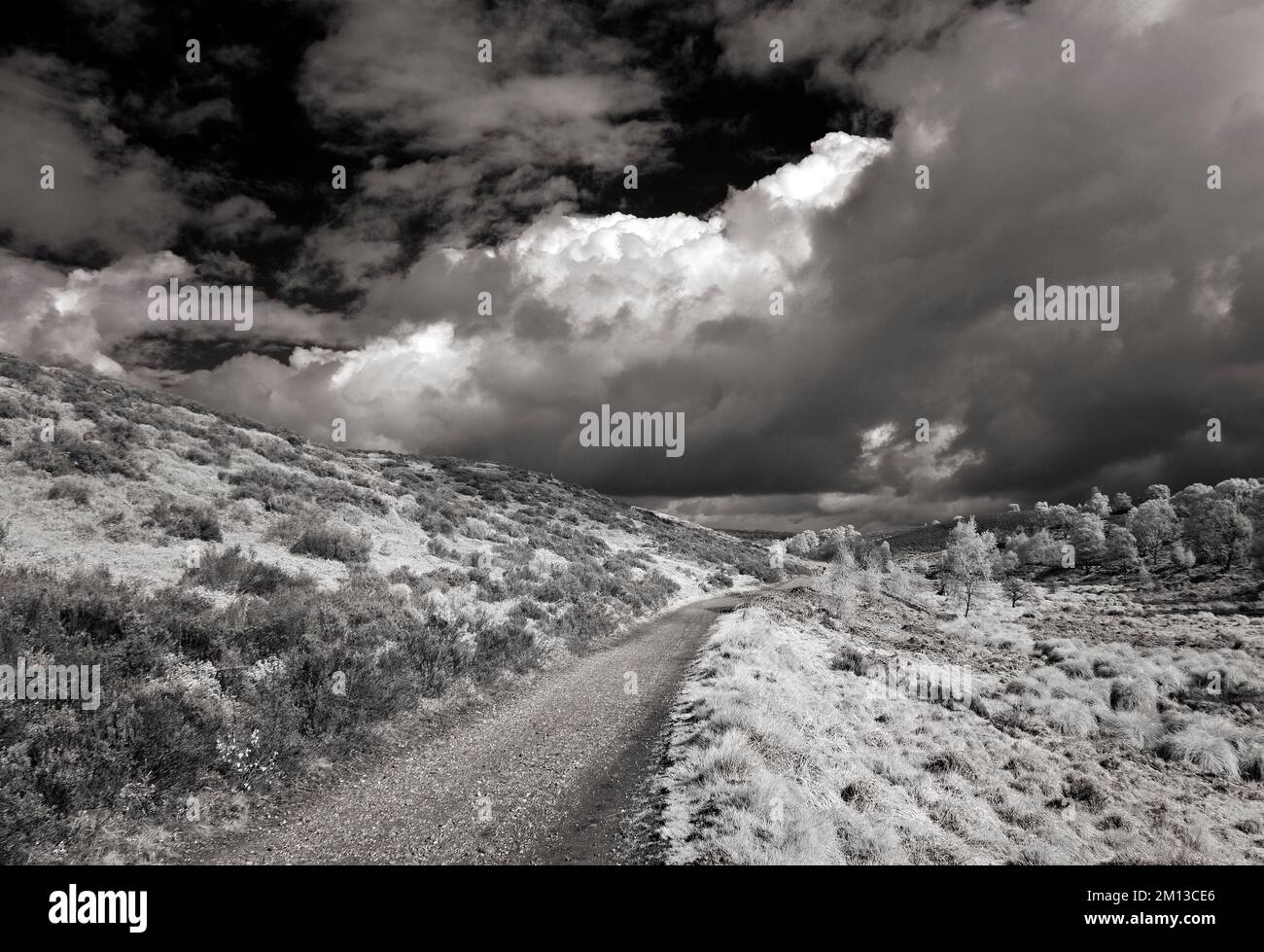 Black and white landscape photograph of storm clouds above Sherbrook Valley path across heathland in spring on Cannock Chase AONB Area of Outstanding Stock Photo
