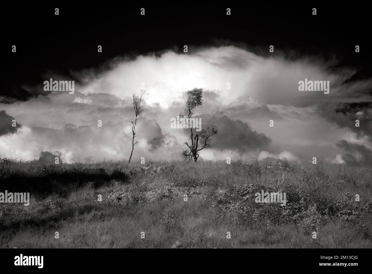 Black and white infrared photograph of a storm over heathland on Cannock Chase AONB Area of Outstanding Natural Beauty in Staffordshire England Stock Photo