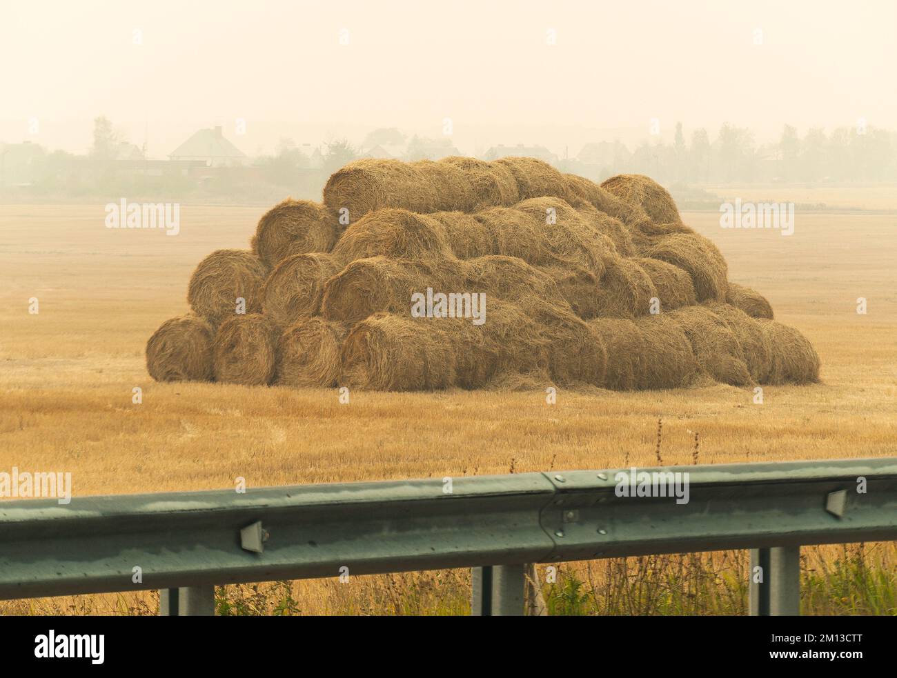 mass stacked pile of hay ricks in foggy farm field by the road Stock Photo