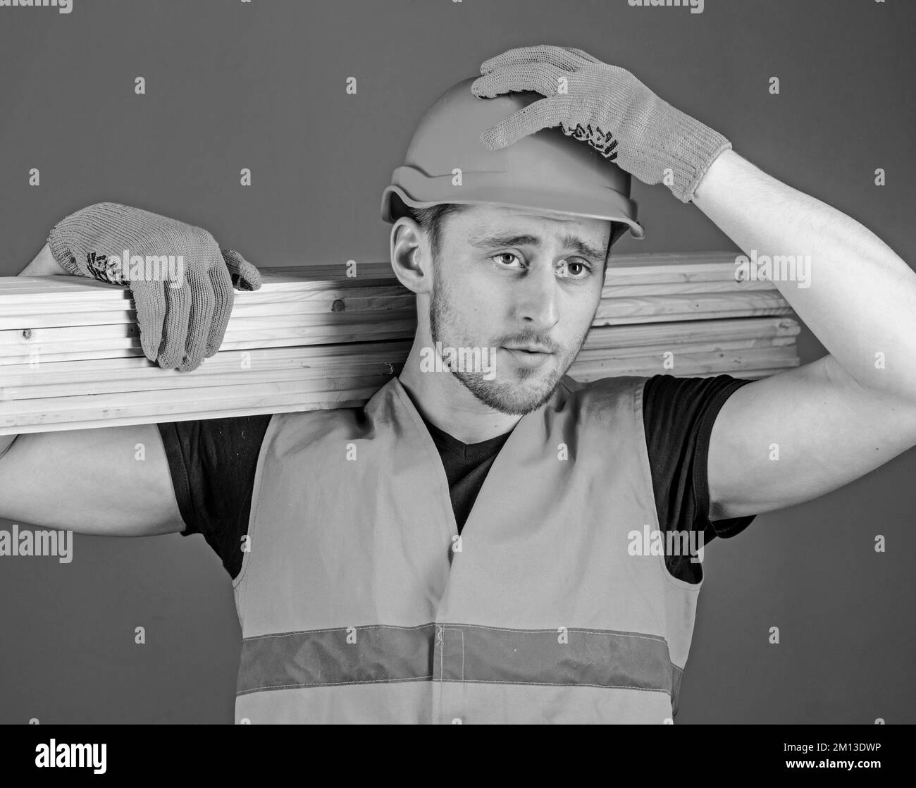 Carpenter, woodworker, strong builder on serious face carries wooden beam on shoulder. Safety