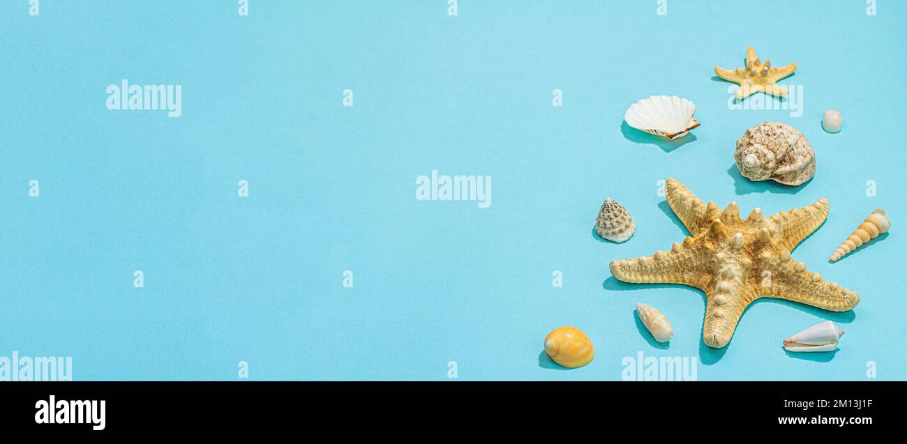 Blue nautical background with sea shells and starfishes. Assorted ...