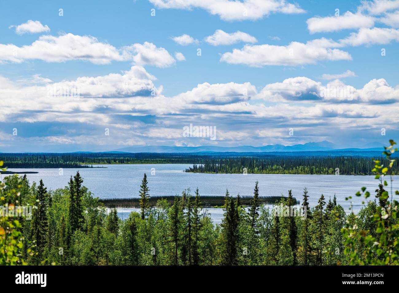 Midway Lake; Tanana River; Tetlin National Wildlife Refuge; Wrangell Mountains; Alaska; USA Stock Photo