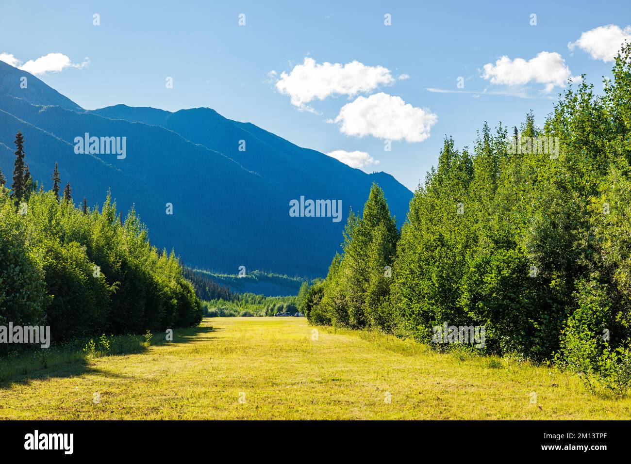 Remote air strip cut through forest; Discovery Yukon Lodge & RV Campground; Beaver Creek; Yukon; Canada Stock Photo