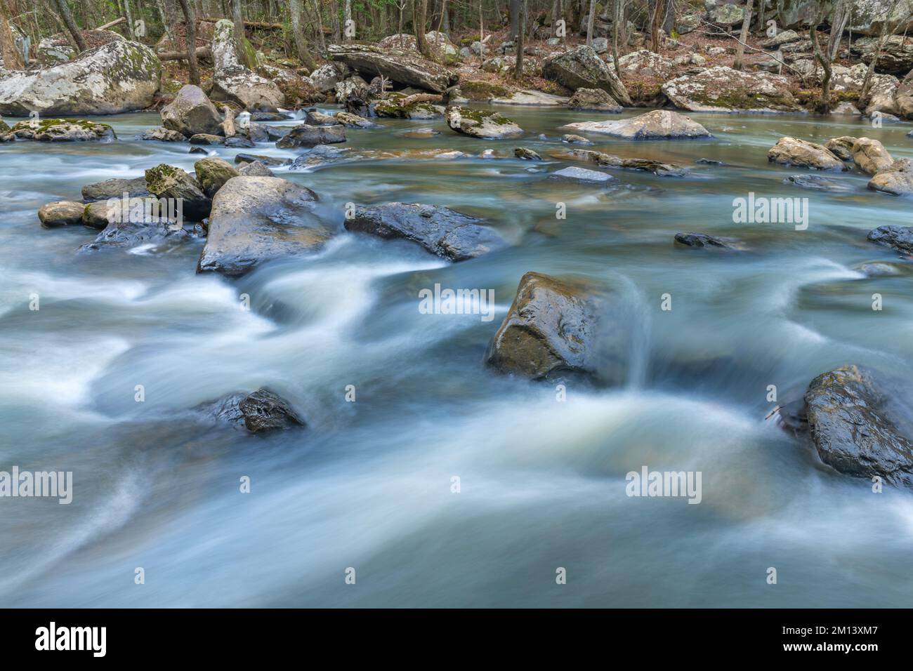 Water flowing through a rocky river in Cumberland Mountain Tennessee shows the peaceful, surreal tone of being in the wilderness. Stock Photo