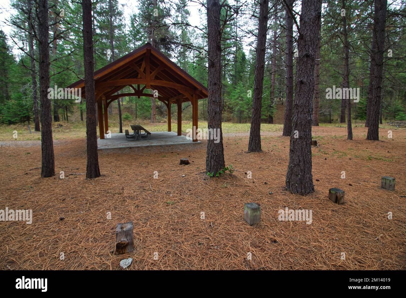 Campground at Thompson Falls State Park Stock Photo Alamy