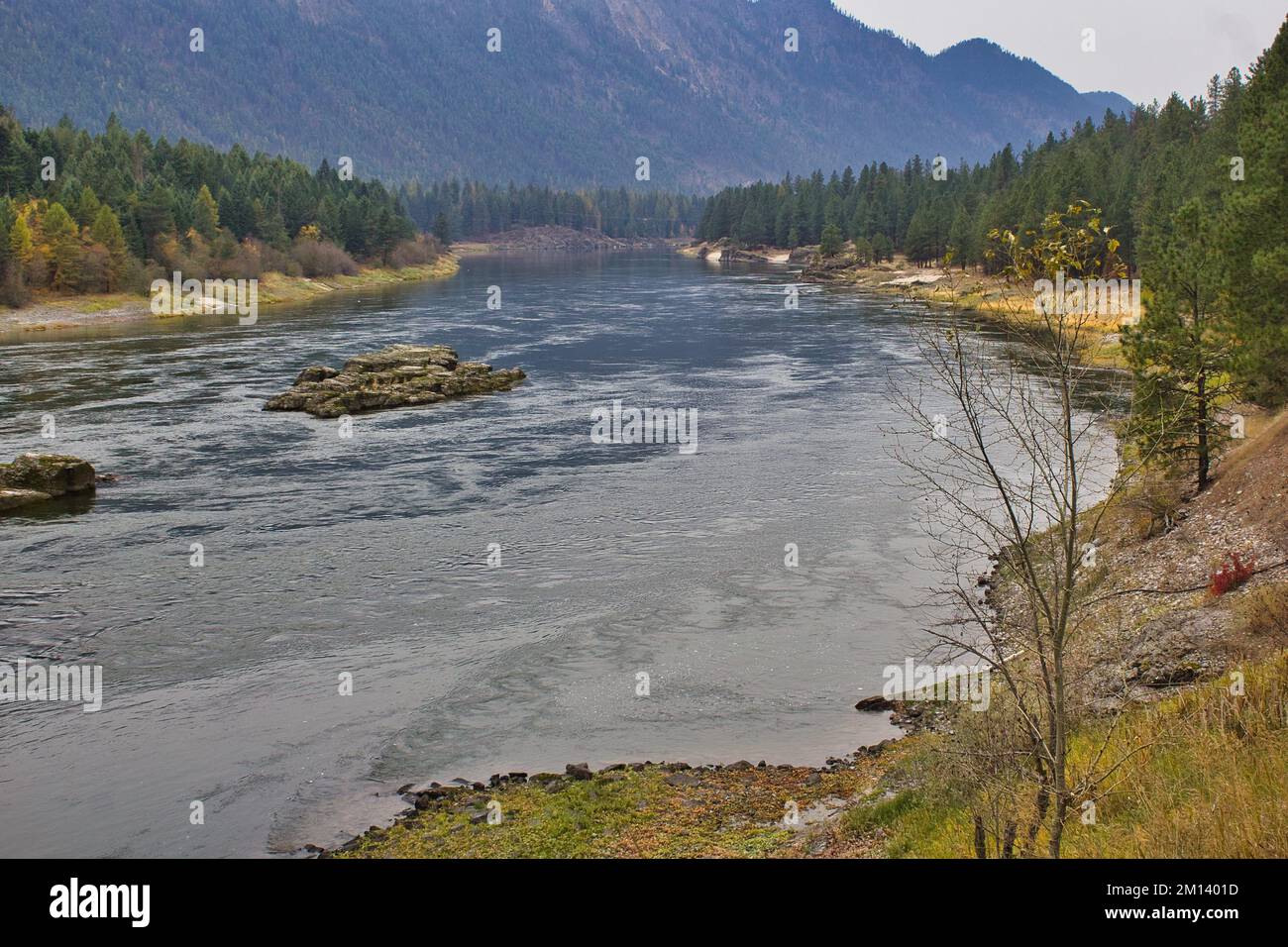 Clark Fork River at Thompson Falls State Park Stock Photo Alamy