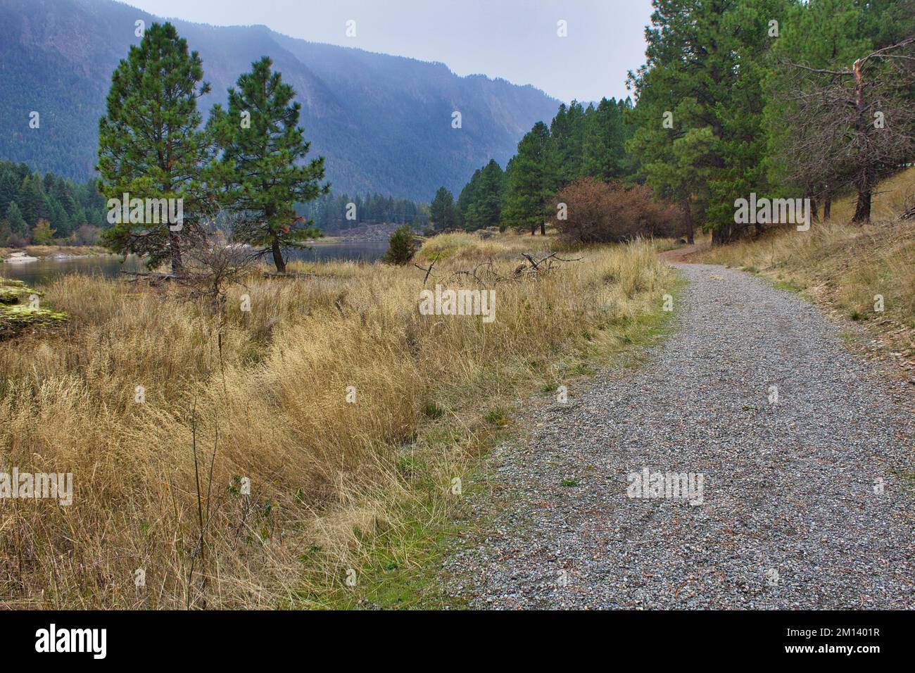 Trail alongside the Clark Fork River at Thompson Falls State Park Stock