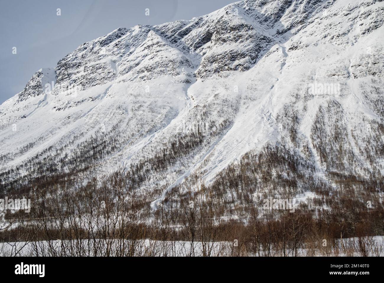 Mountain climate plants hi-res stock photography and images - Alamy