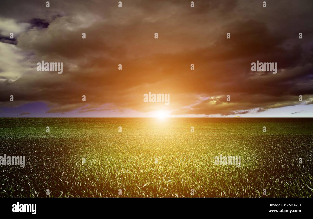 Thunderclouds over fields at sunset Stock Photo