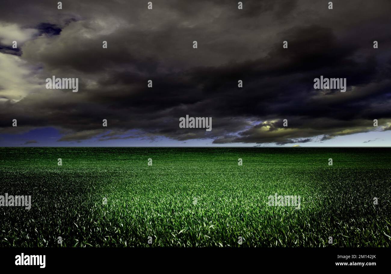 Thunderclouds over fields Stock Photo