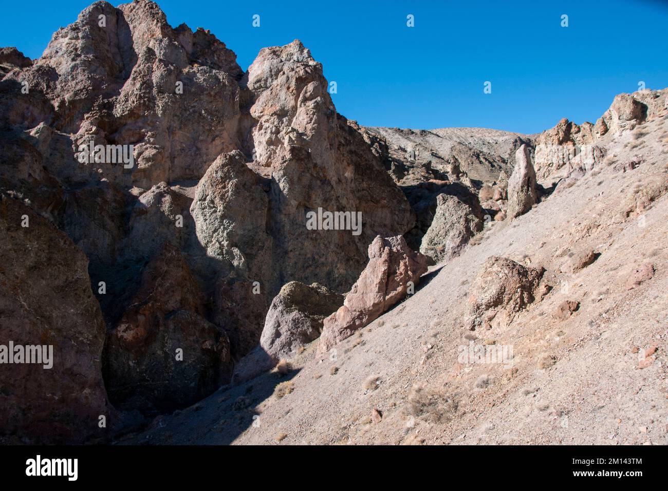 wilson-canyon-is-a-haven-for-outdoor-activities-in-lyon-county-nevada