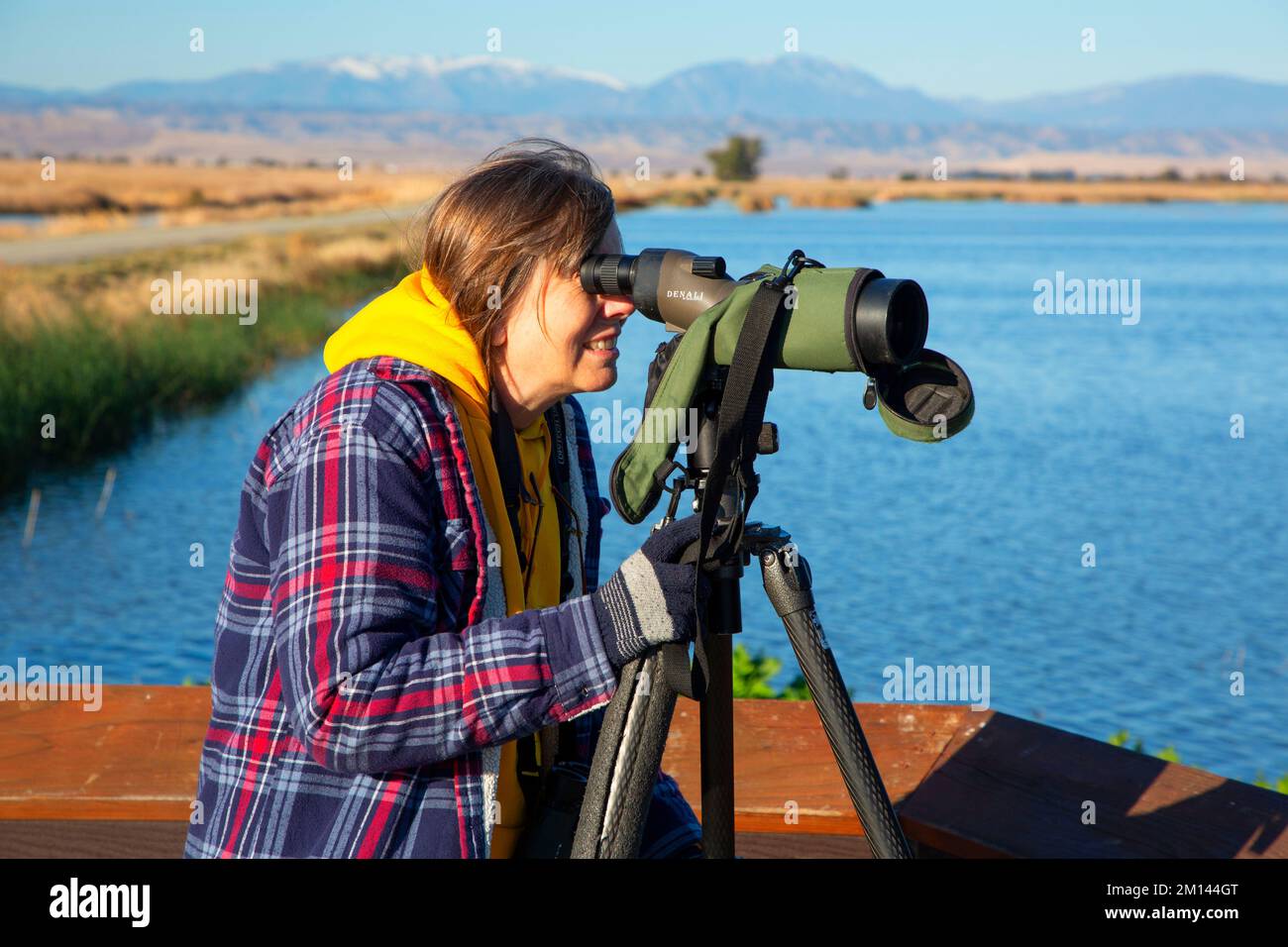 Birding on viewing deck, Sacramento National Wildlife Refuge, California Stock Photo