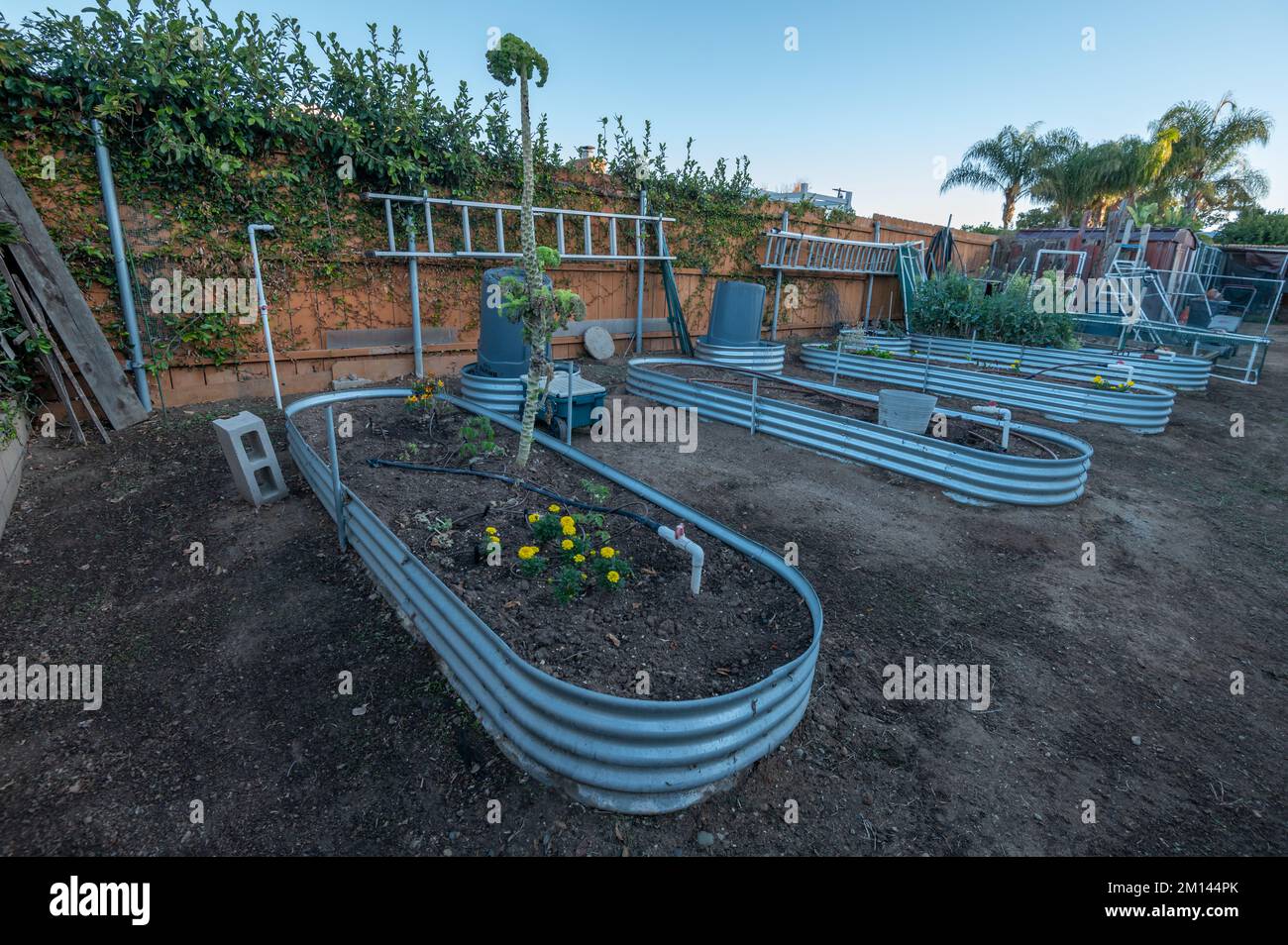 Raised garden beds in a backyard.  Stock Photo