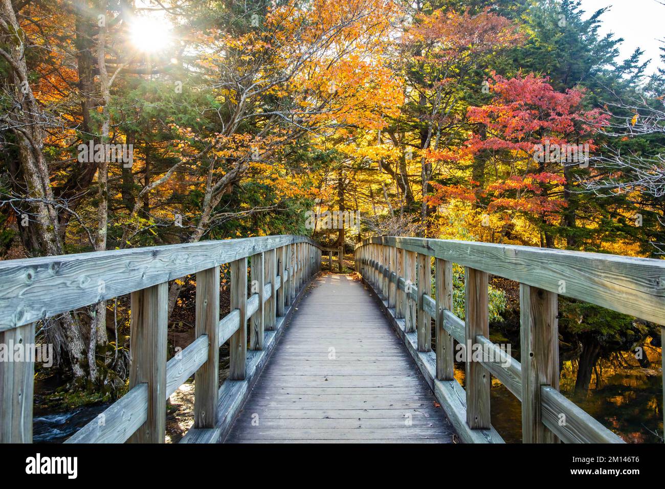 Scenic view of Yunoko lake bridge at fall with colorful trees Nikko ...