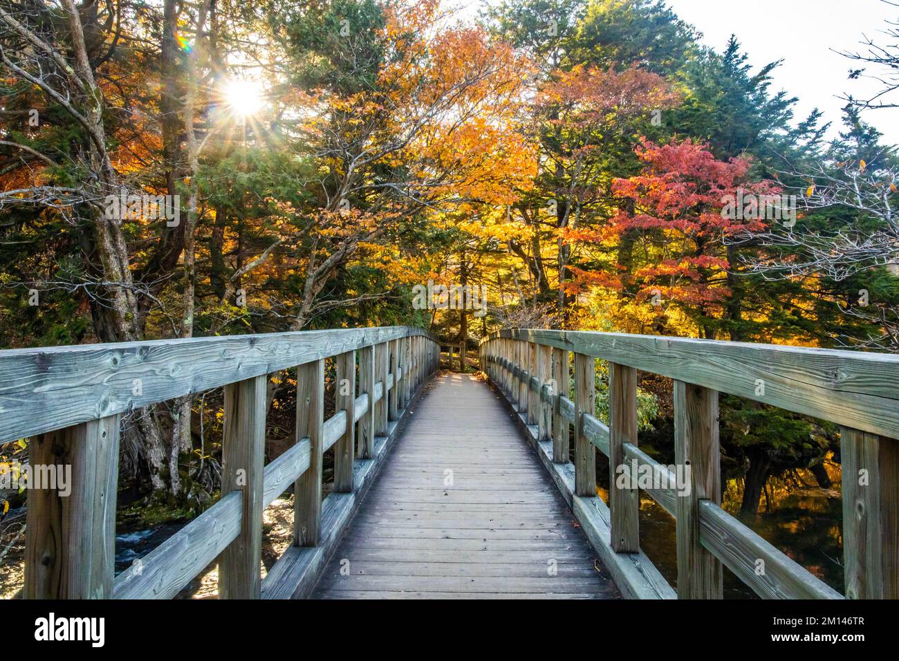 Scenic view of Yunoko lake bridge at fall with colorful trees Nikko ...