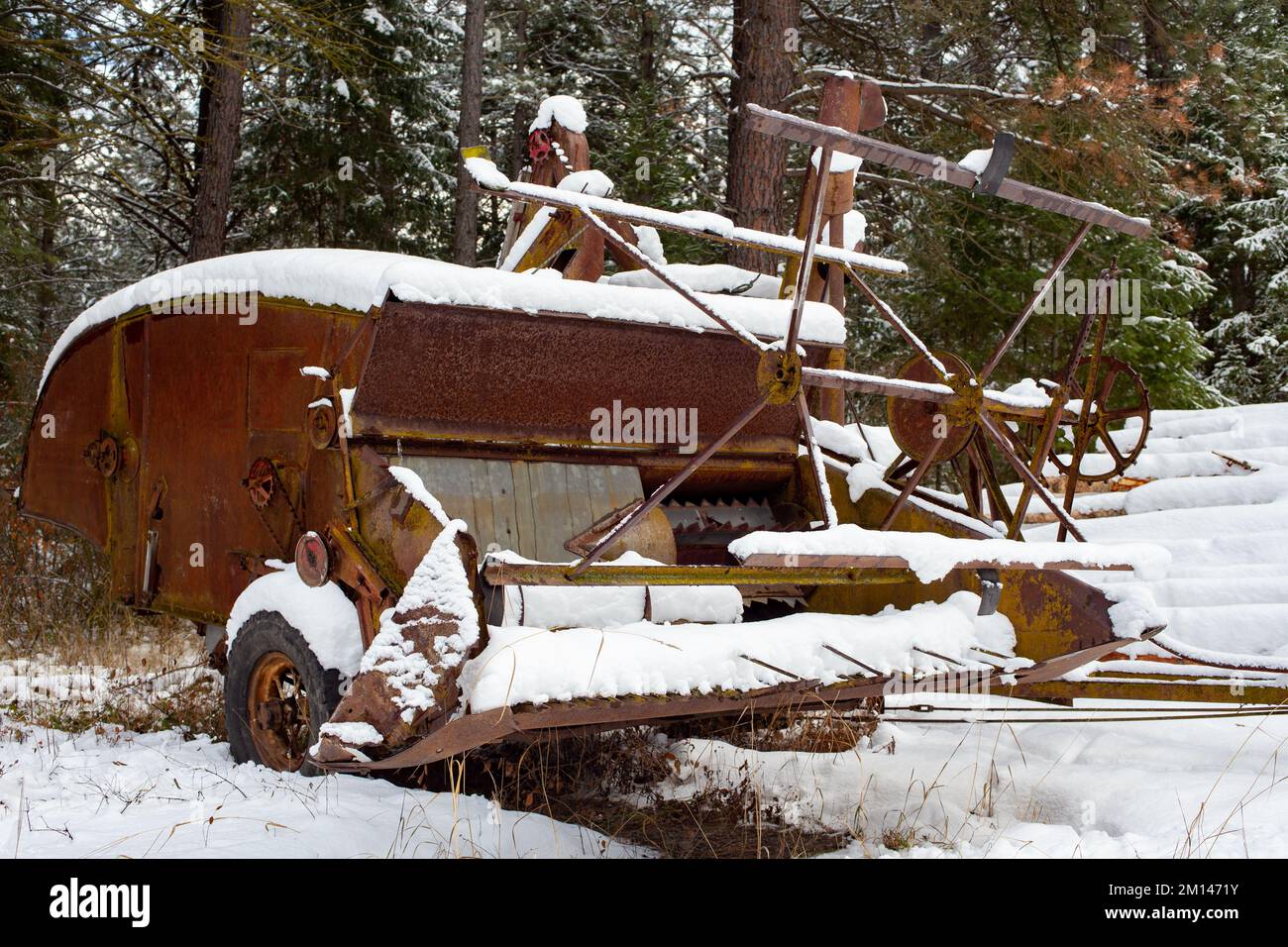 An old, rusty McCormick-Deering No.63 Harvester Thresher in the snow, on the edge of the woods, outside of Bonners Ferry, Idaho. Stock Photo