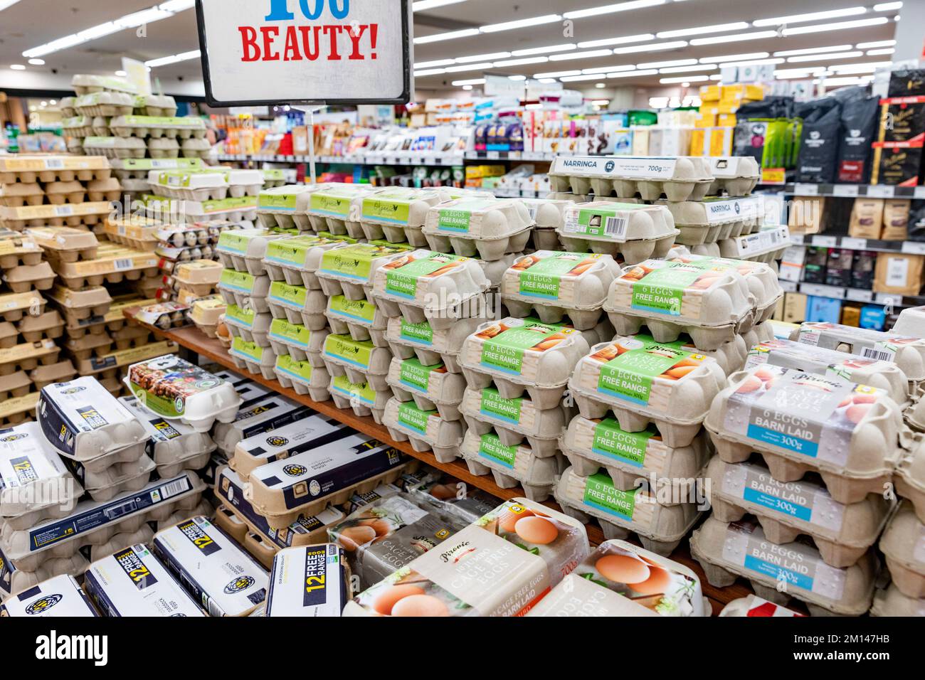 Fresh free range eggs in cardboard boxes for sale in an Australian supermarket Stock Photo