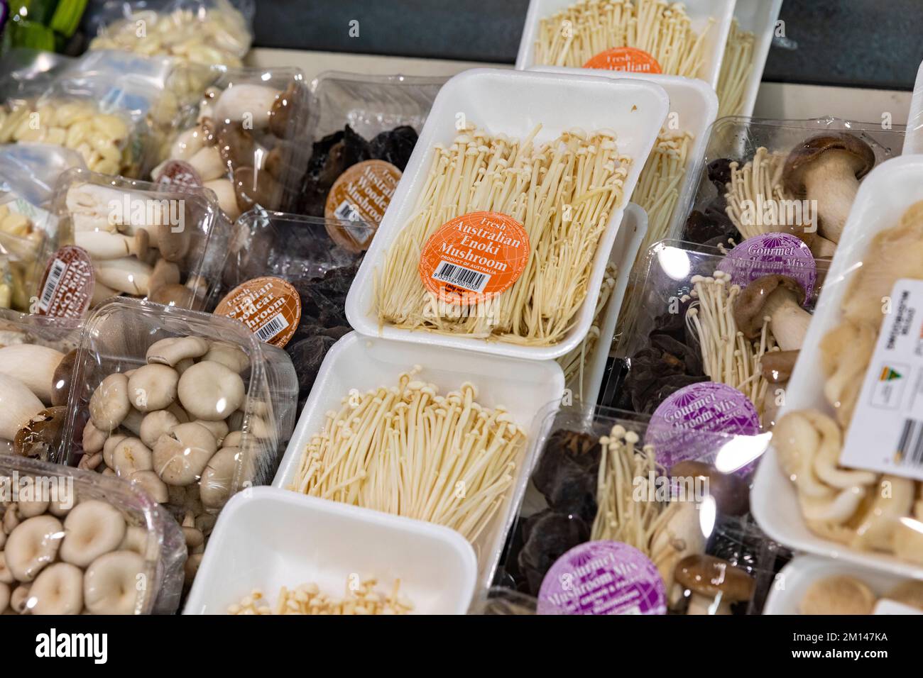 Enoki mushrooms australia hires stock photography and images Alamy