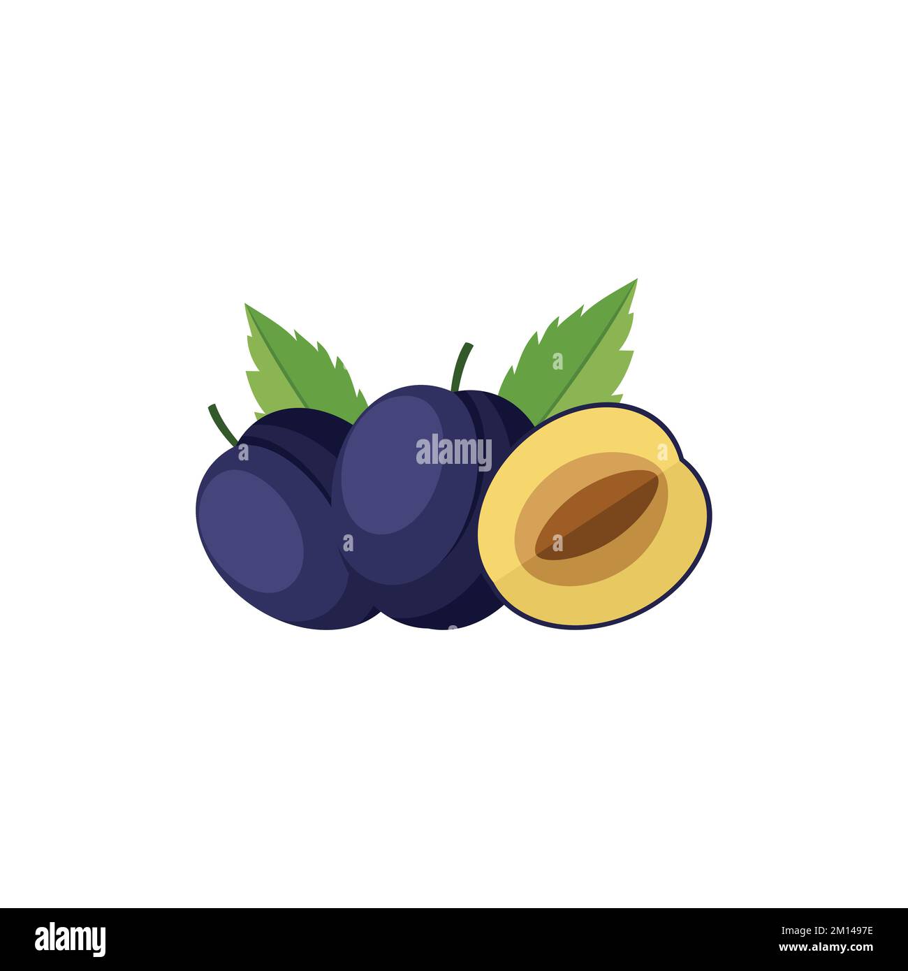 Damson Plum Flat design clip art vector illustration isolated on a