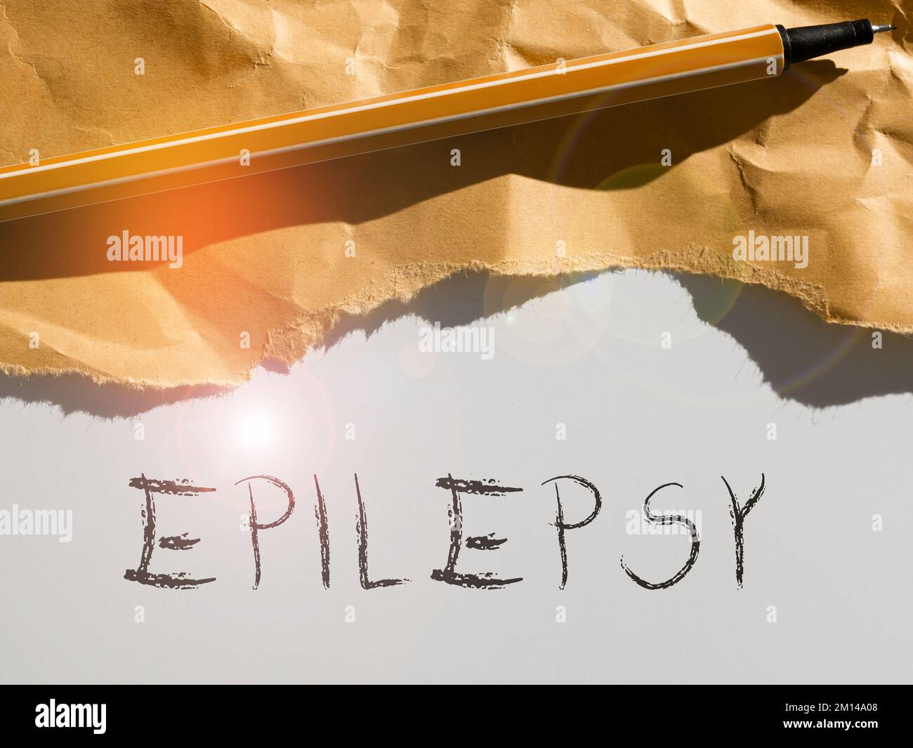 Writing Displaying Text Epilepsy Concept Meaning Fourth Most Common Writing Displaying Text Epilepsy Concept Meaning Fourth Most Common